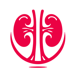 Nefrologia