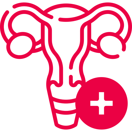 Ginecologia